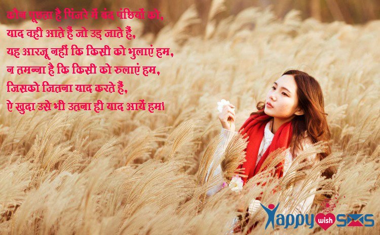 Read more about the article Love Shayari in Hindi , love Shayari , Message, Sms,Quotes, Shayari
